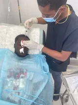 Haiti April 2024